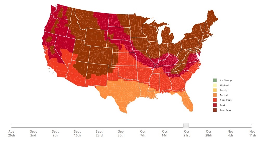 fall-map-california