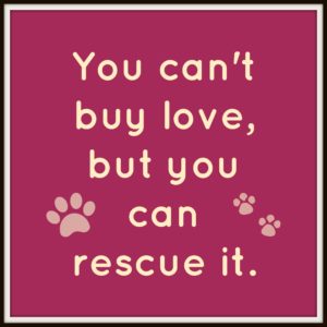 rescue love