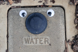 googly-eyed meter