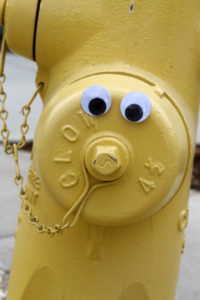 googly-eyed hyddrant