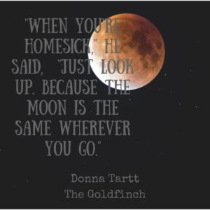 goldfinch moon quote