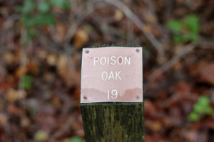 marker