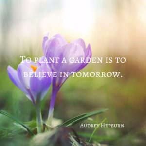 hepburn quote