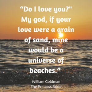 princess bride quote