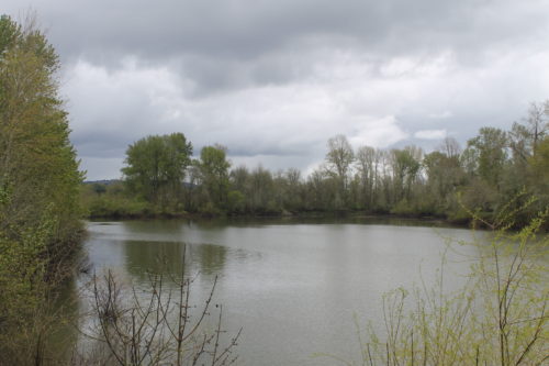 Wilamette River clouds