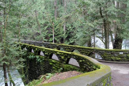 bridge at Whatcom Falls