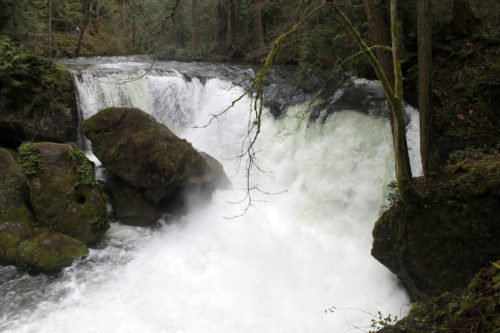 Whatcom Falls