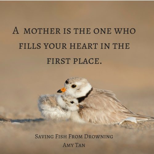 amy tan