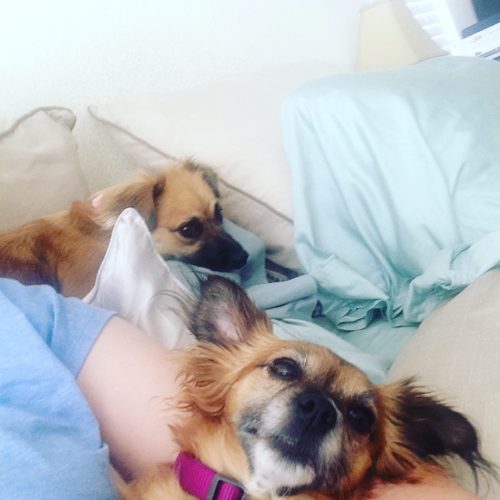 penny and Rosie