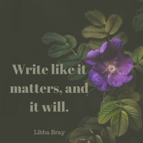 libba bray quote