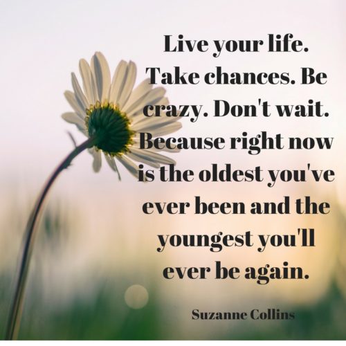suzanne collins