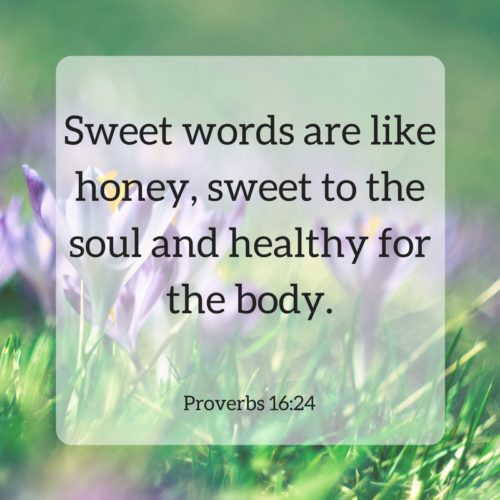 proverbs 16:24