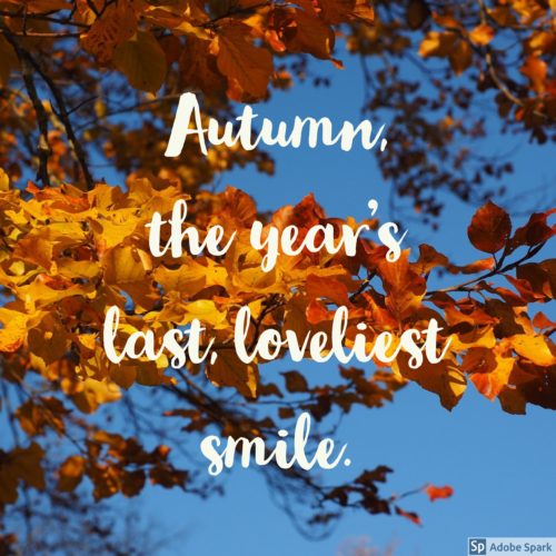 Fall Bucket List