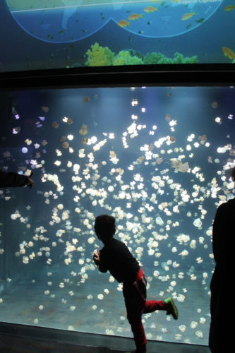 Vancouver aquarium