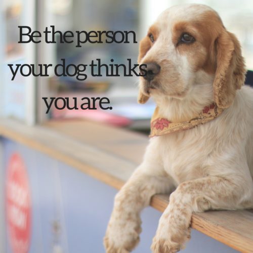 dog quote 1