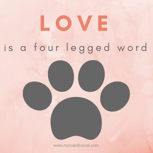 love is a four legged word