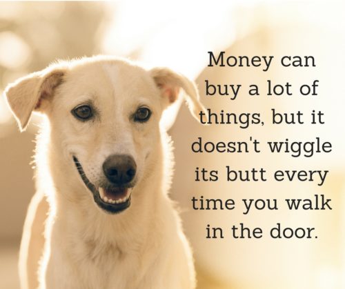 dog quotes 5