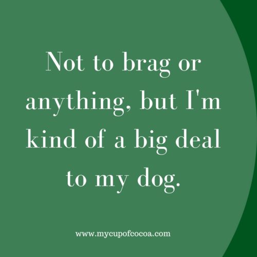 dog quotes 11