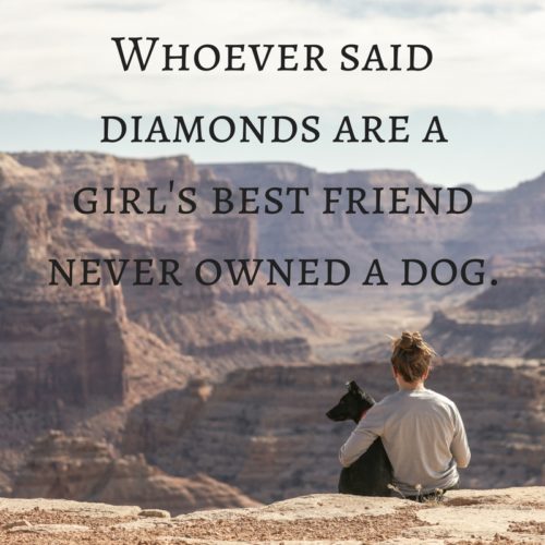 dog quote 2
