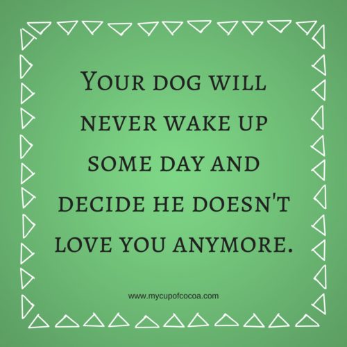 dog quotes 3