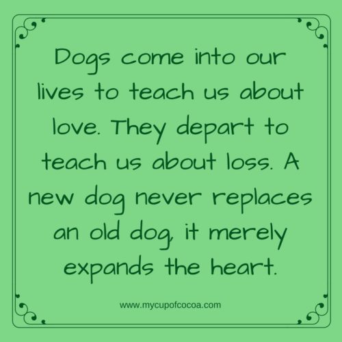 dog quotes 7