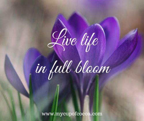 spring quote 5