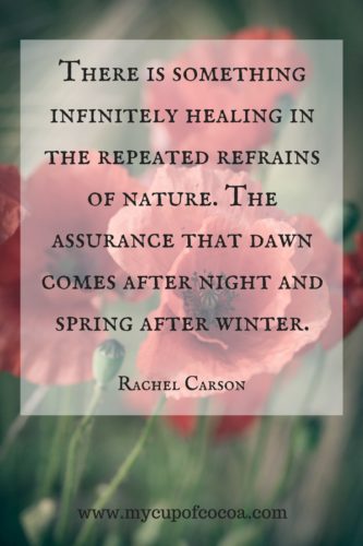 spring quote 9