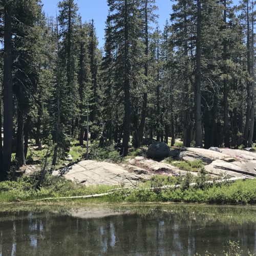 family road trip 3