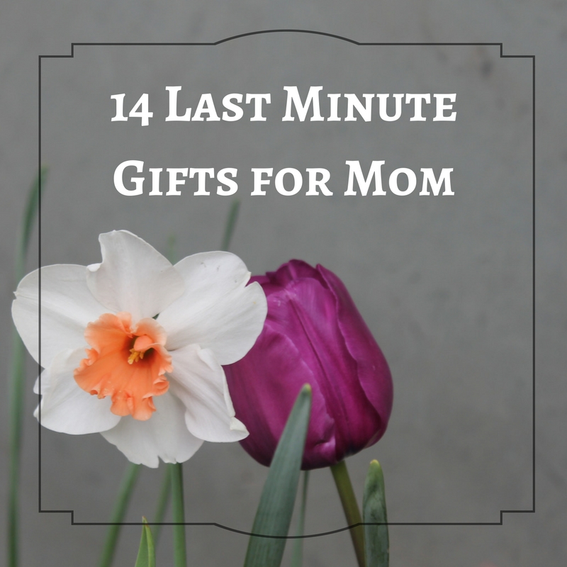 Good Last Minute Gifts For Mom - 22 Mother's Day Gifts Better Than A Last-Minute Bouquet ... / Good last minute gifts for mom.